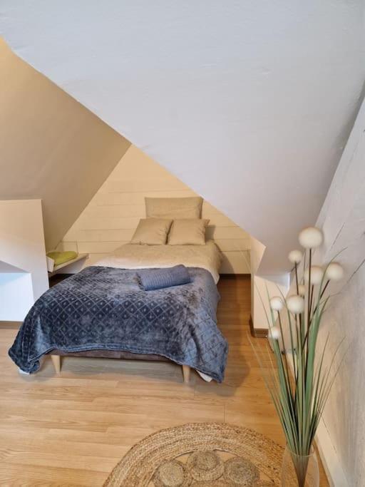 Le Petit Loft, Mulhouse Centre Lägenhet Exteriör bild
