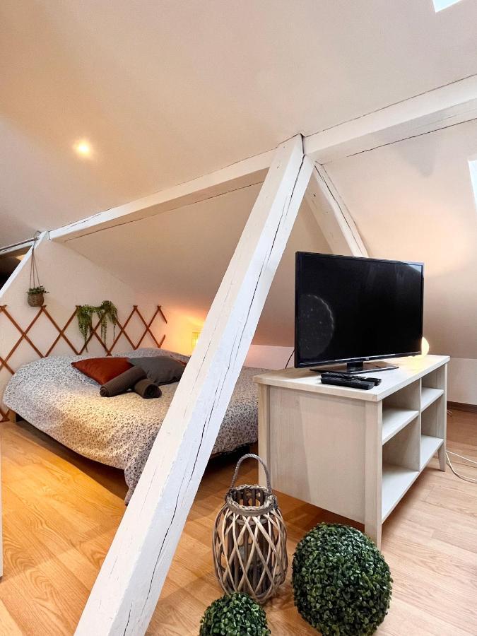 Le Petit Loft, Mulhouse Centre Lägenhet Exteriör bild